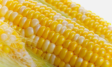 漳州市推行出口食品企業備案管理改革 企業可當地審批